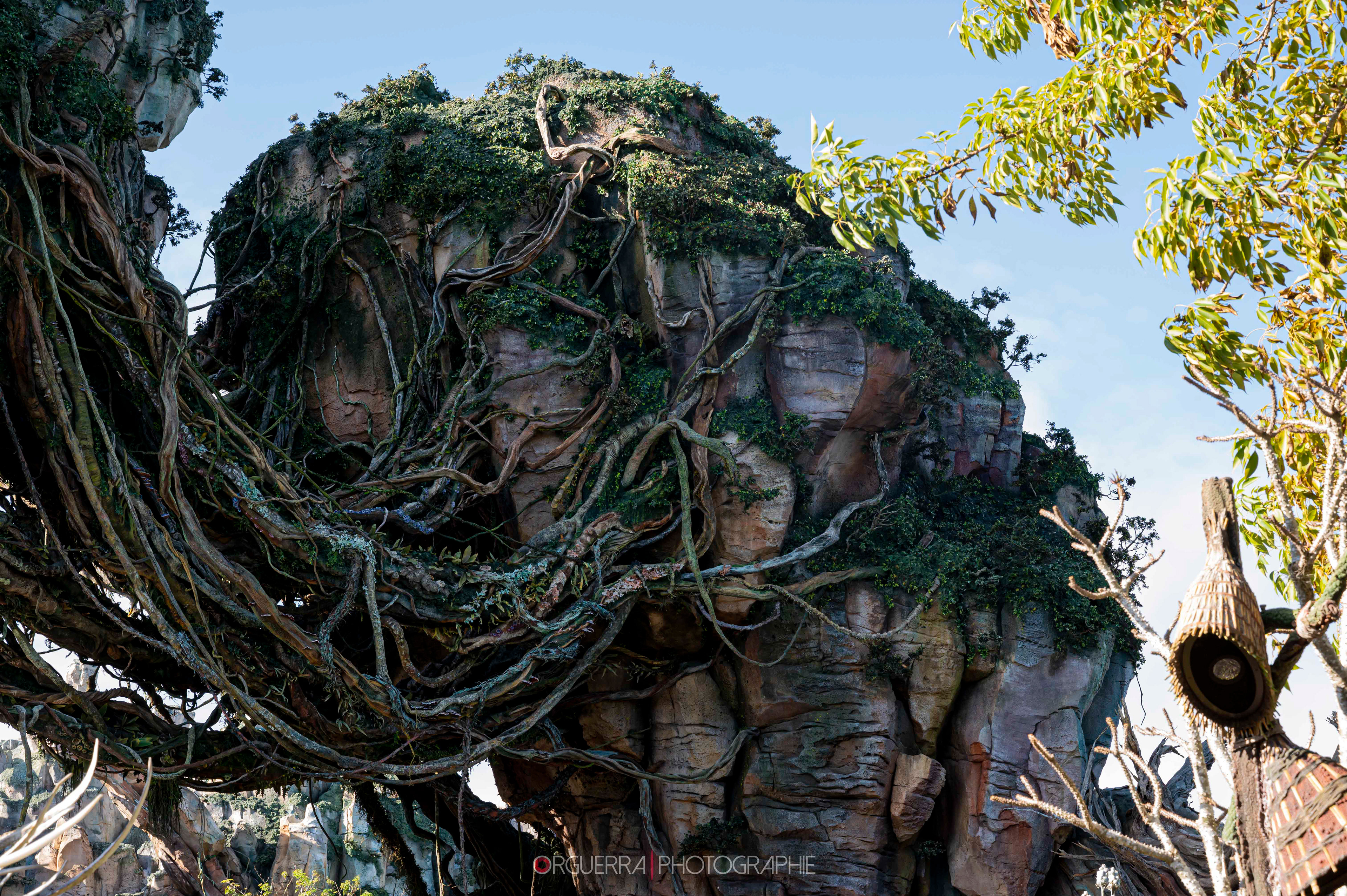 Magic Kingdom | Walt Disney World